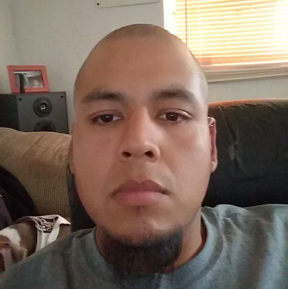 Meet your Posher, Oscar - Picture 1 of 1